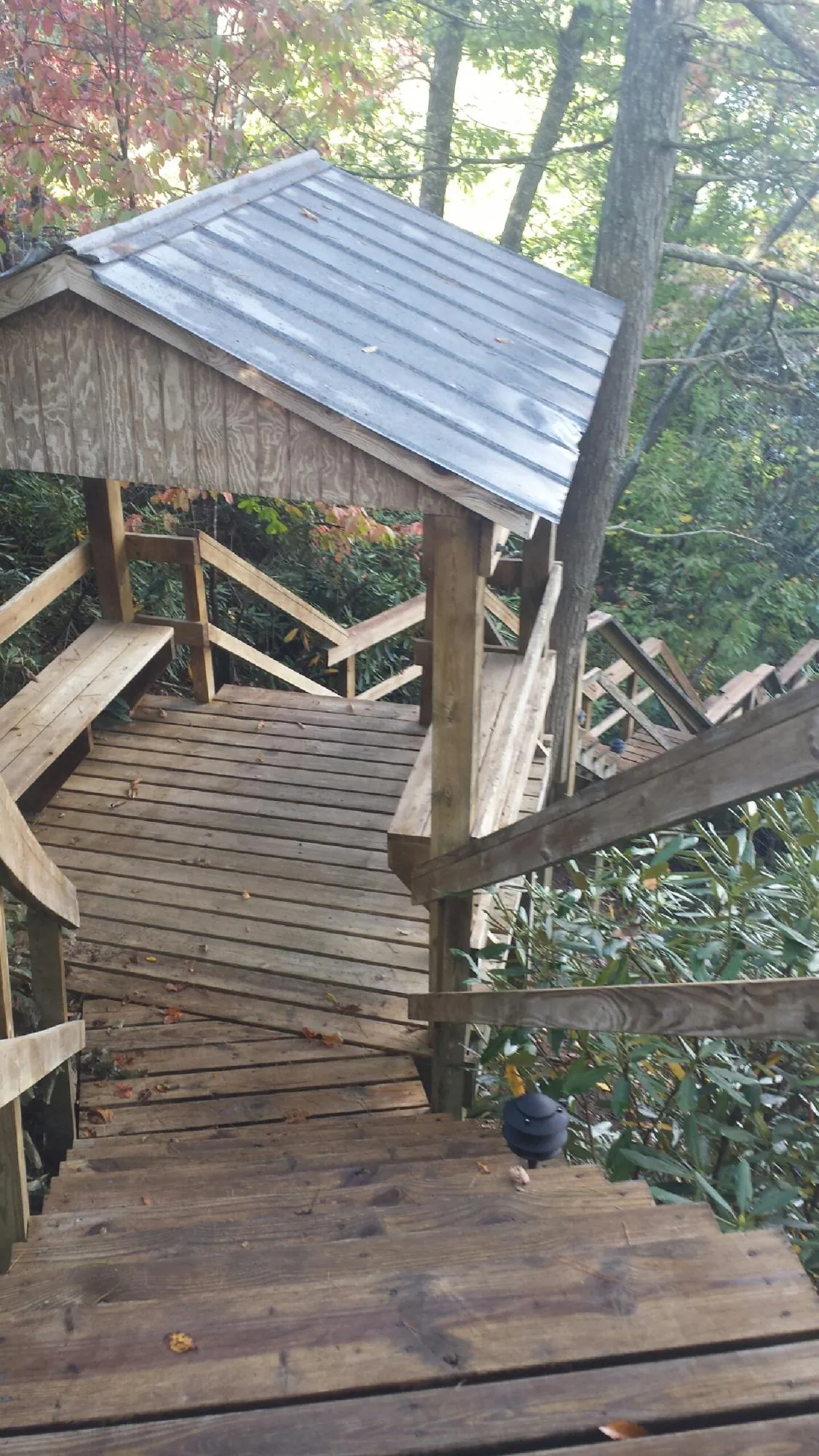 Metal roofed shelter over wooden steps on a wooded walkway — Skylight Repair & Installation work by our crew in House Springs